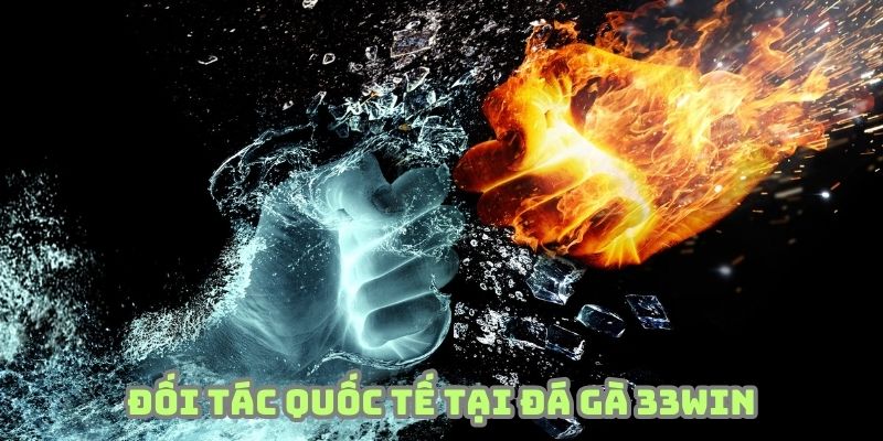Đối tác quốc tế chất lượng tại đá gà 33WIN